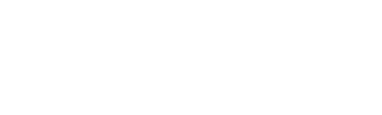 logo-schriftzug